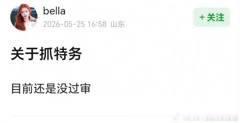 不过审的理由是？
