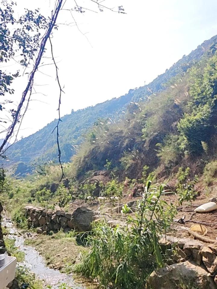 尾盘拉升了！今日A股尾盘在房地产、券商等板块的带动下强势拉升，最后三大股指均以