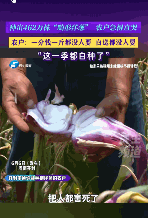 真是丧尽天良！6月6日河南广播电视台民生频道报道，河南开封，农户们本指望能有个好