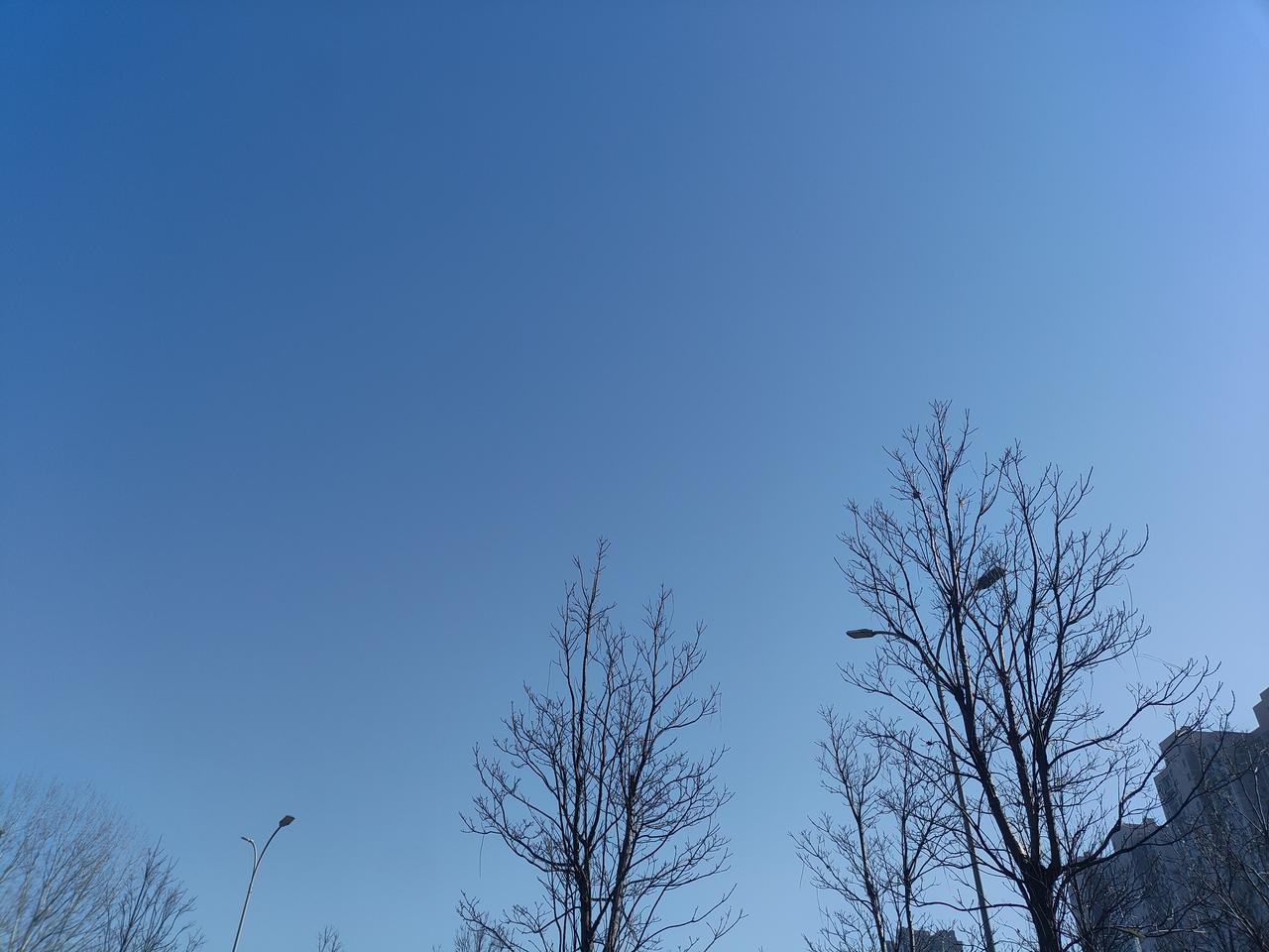 我发现动物的人生可能更没有意义。他们除了吃，除了生孩子，还有别的事儿干吗？孩