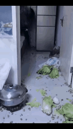 男人要是娶到这样的老婆，估计日子也不会过得好到哪里去！大家看视频中这个女人，