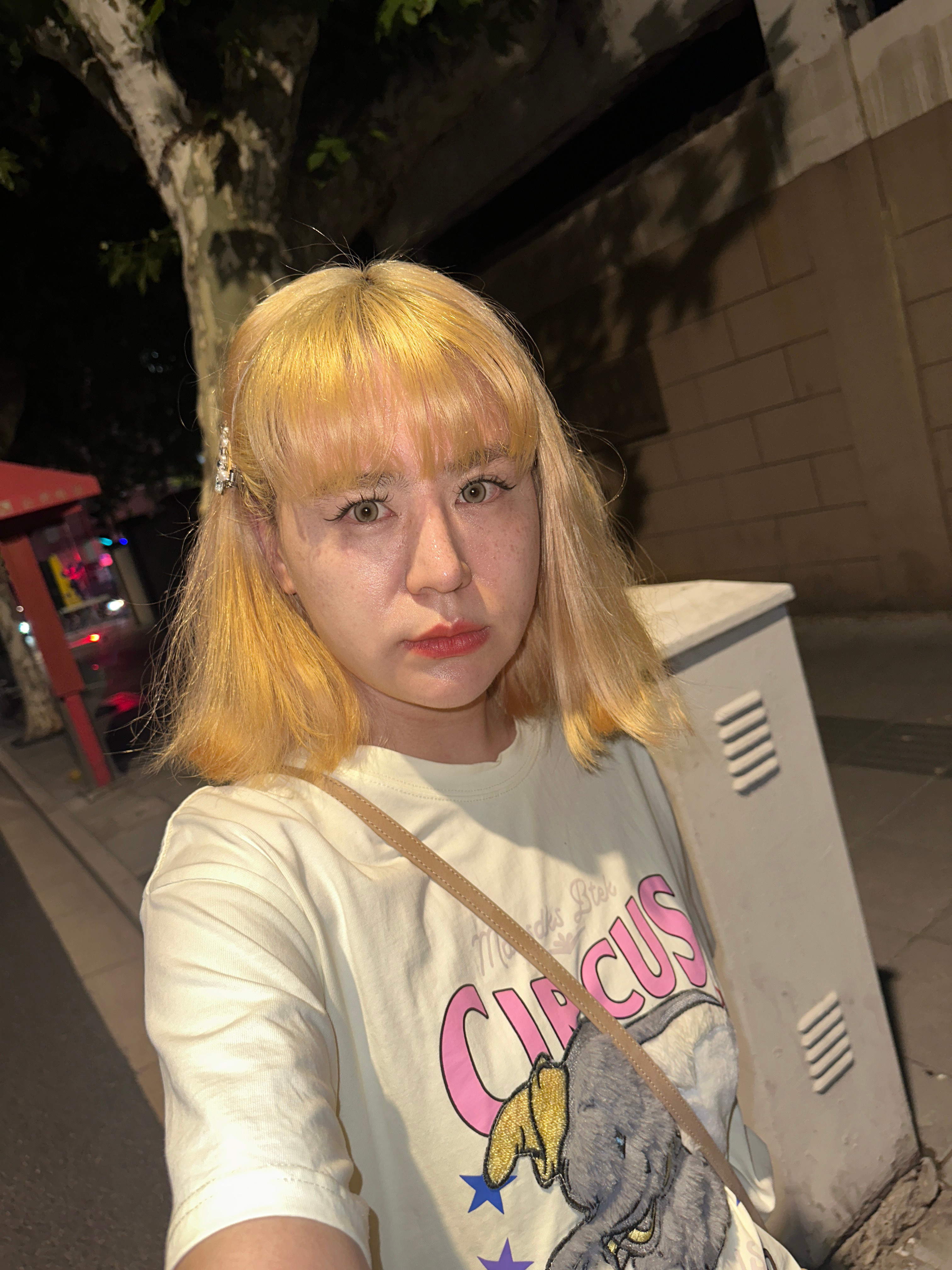 这不就是公主吗
