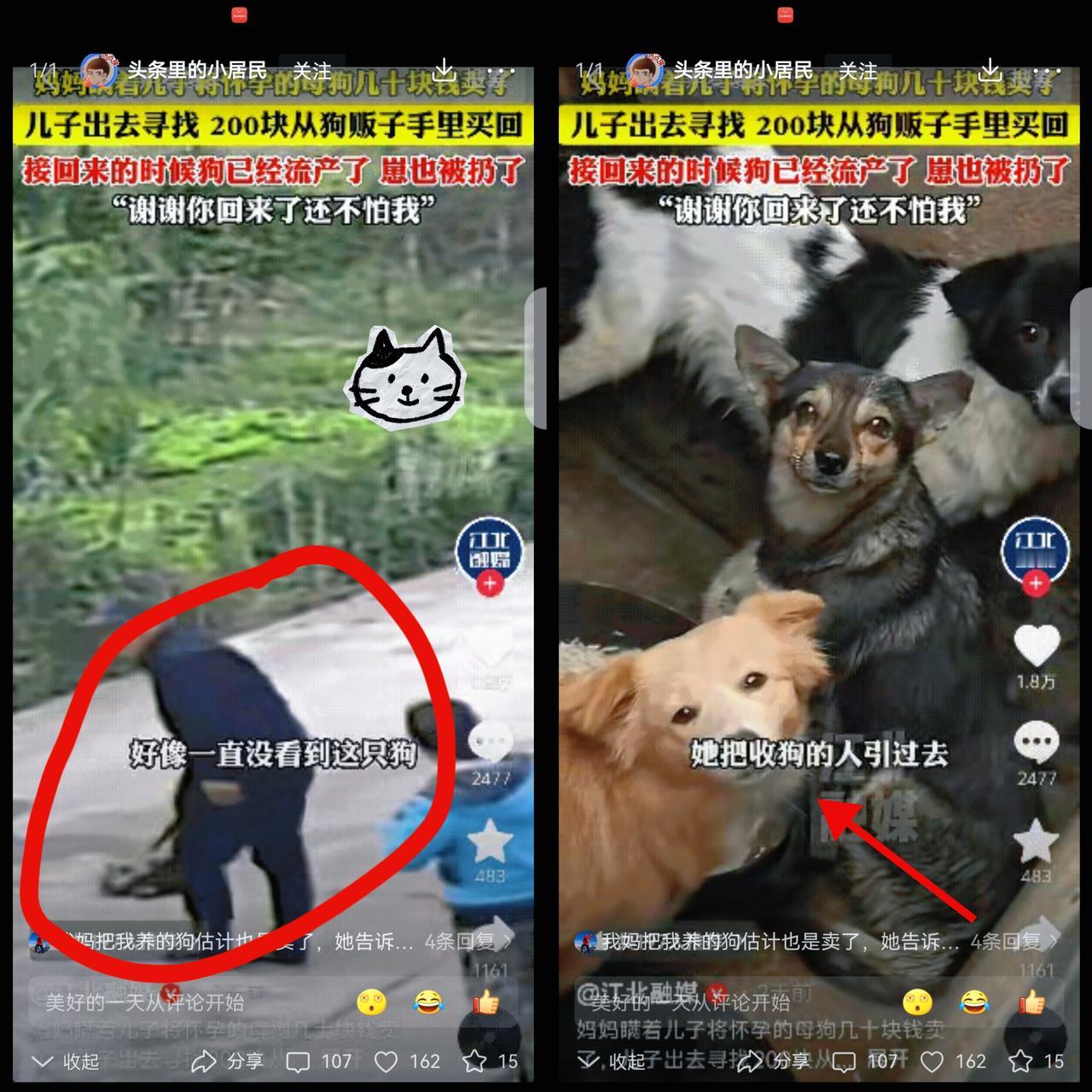 “泪目了！”湖北，一妈妈瞒着儿子卖掉了家里怀孕快生的母狗。儿子知道后，42小时的