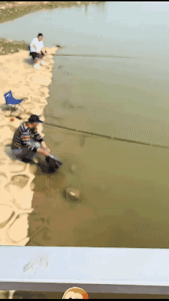 这鱼🐟吃了也会影响智商不如给我吧！[哭哭]