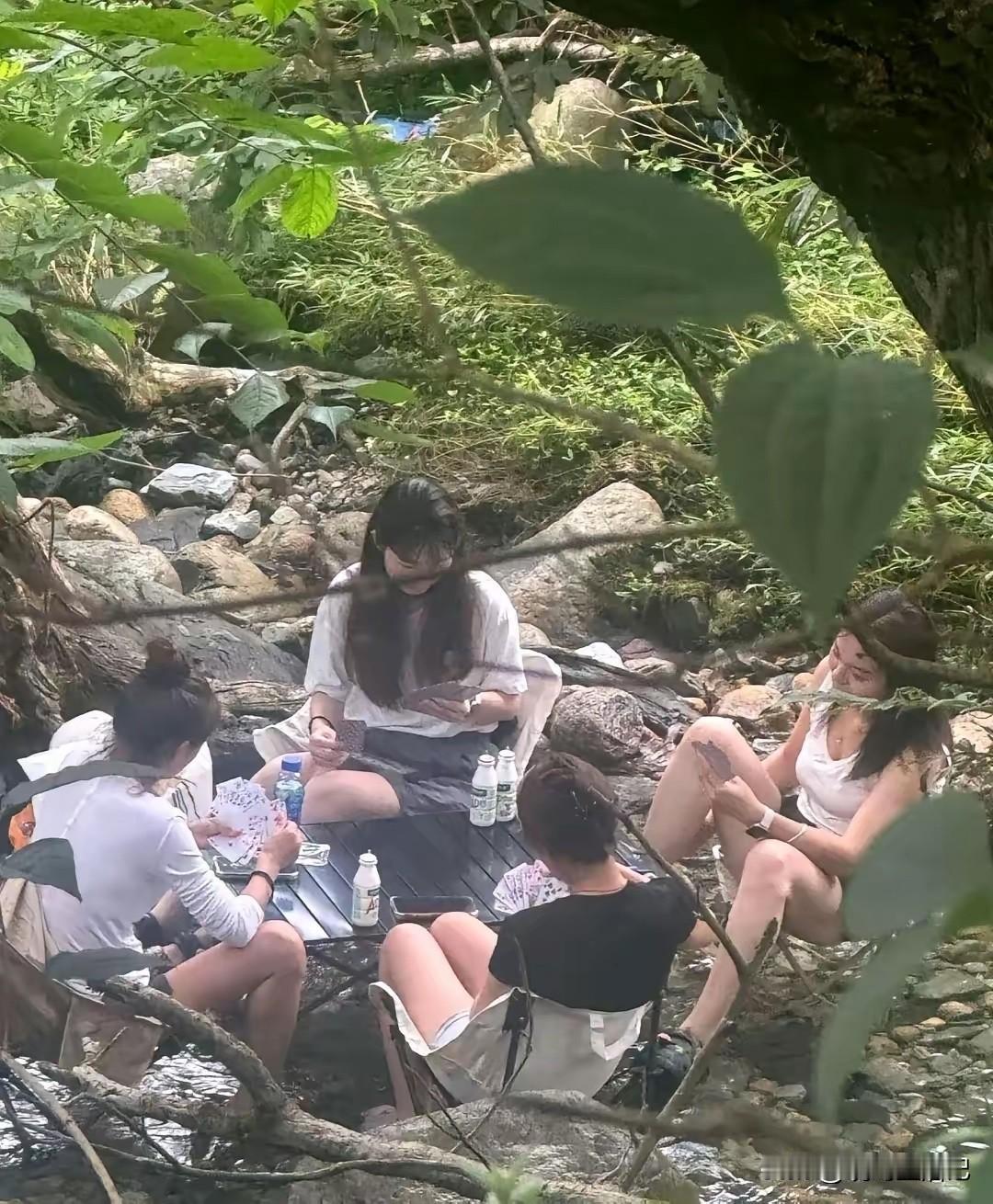 我不信，这里没有蚊子。