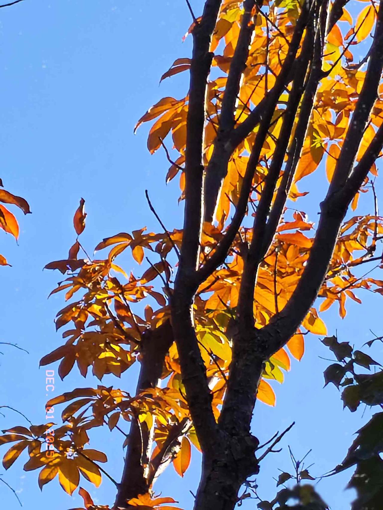 如今，我们不敢在他人面前提儿子读博士的事情了。去年春节家宴，我把儿子的博士