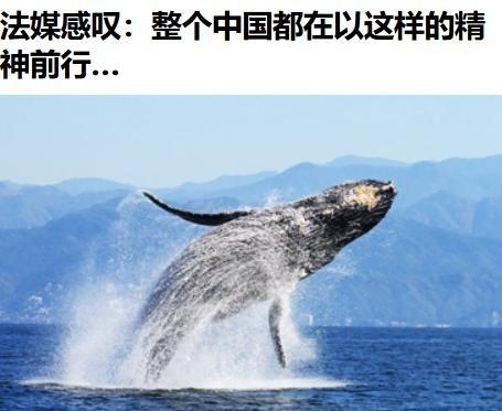 法国人看懂了中国，法国《世界报》刊文称：“整个中国，现在都在以一种‘你封我，我就