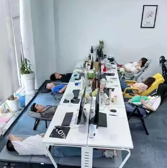 大家中午也是这么睡吧?