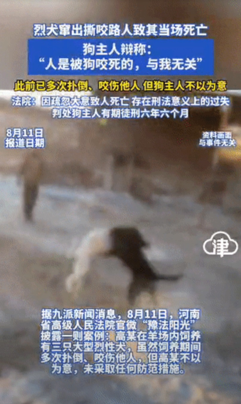 太可恶了！河南，一男子养了三头狼狗，曾多次伤人，然而，男子却不在意，仍不采取任何