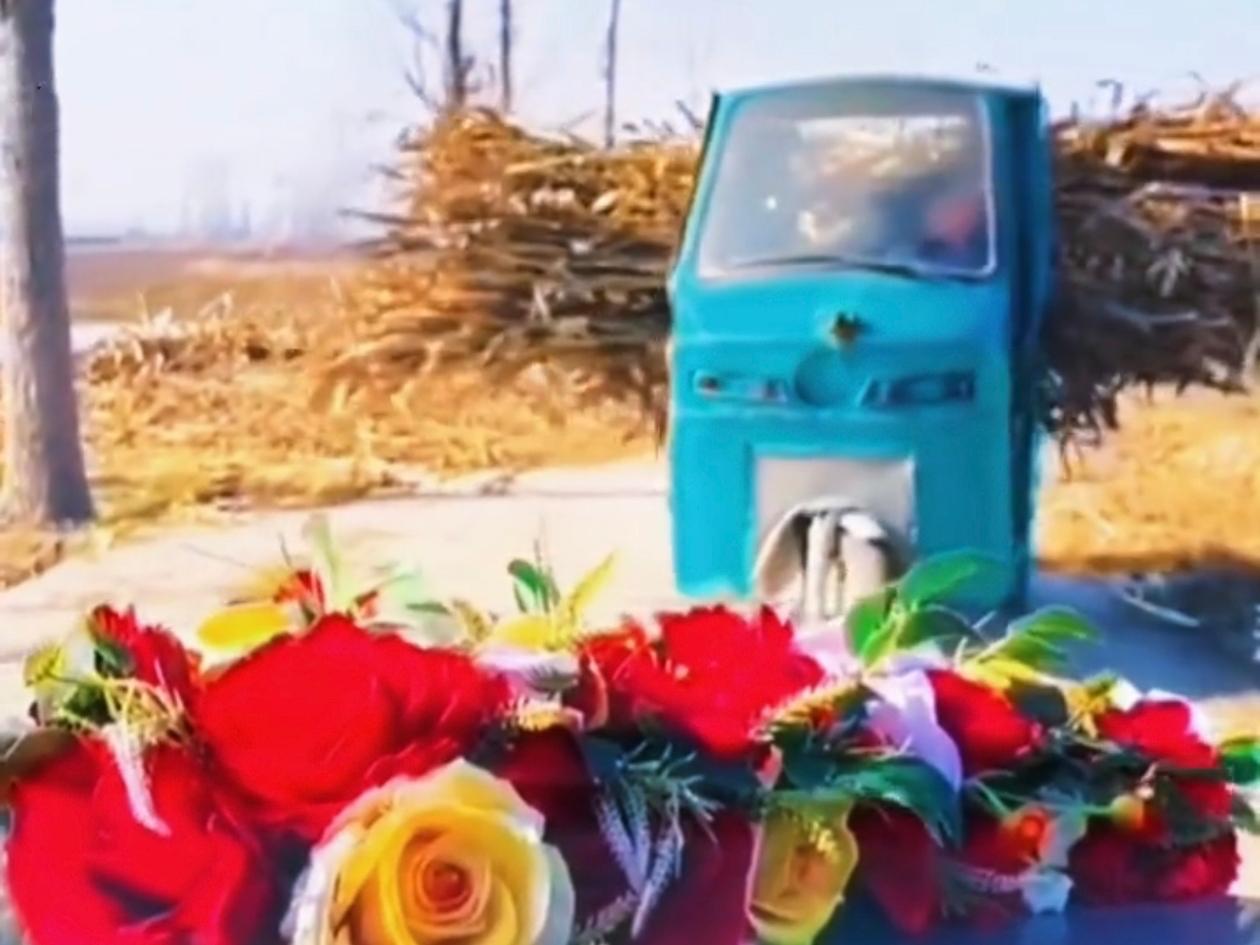 山东一大哥骑三轮拉玉米秸秆回家，乡间小道窄得很，前头来了迎亲车队，红色的婚车排成