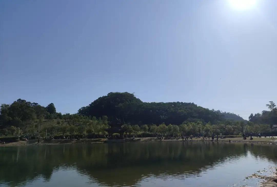 老爸一句我不去添这个麻烦把我噎得半夜没睡。他七点睡五点醒，哥哥家娃写作业到十一