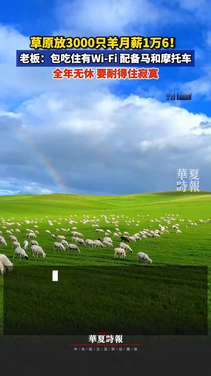草原放3000只羊月薪1万6！老板：包吃住有Wi-Fi配备马和摩托车。华夏时报
