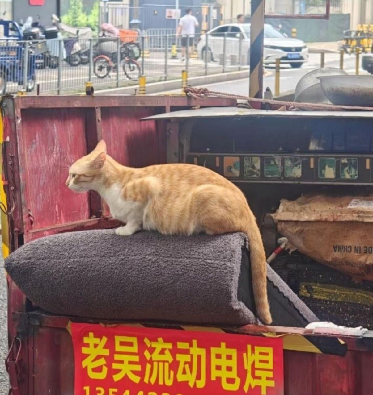 老吴！​​​