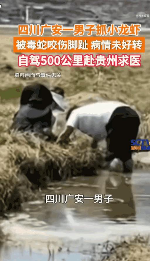 悲剧还是发生了！四川广安，一名男子深夜私自前往水田捕捉小龙虾，没抓到几个，反倒惨