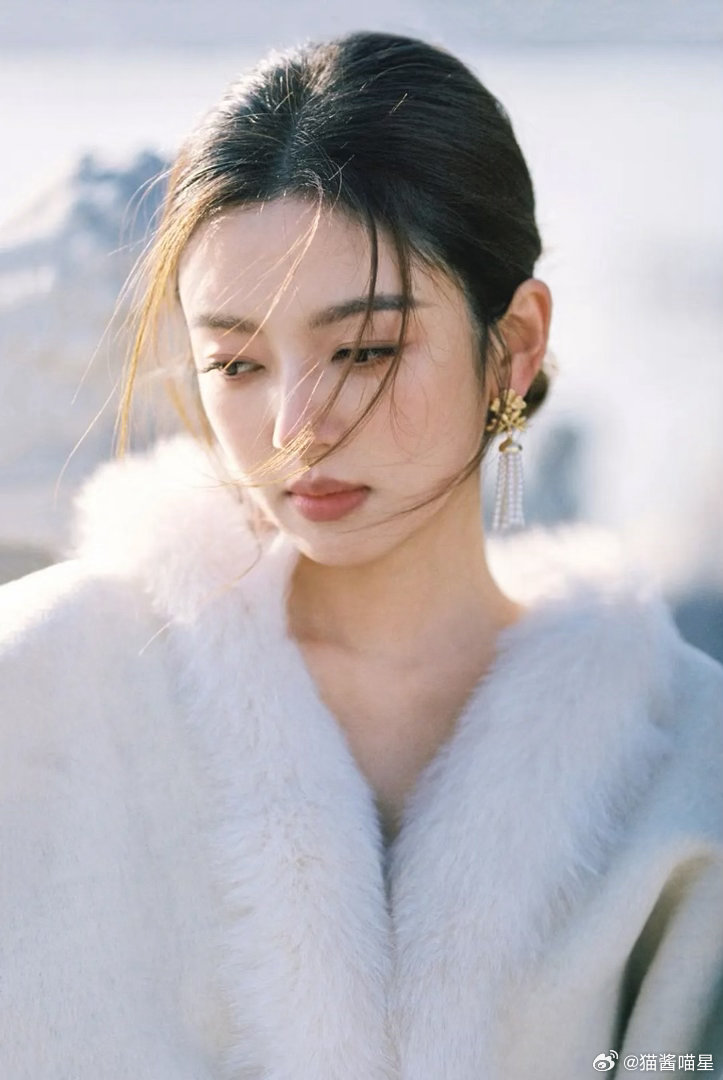 于正捧赵晴真不如捧何瑞贤