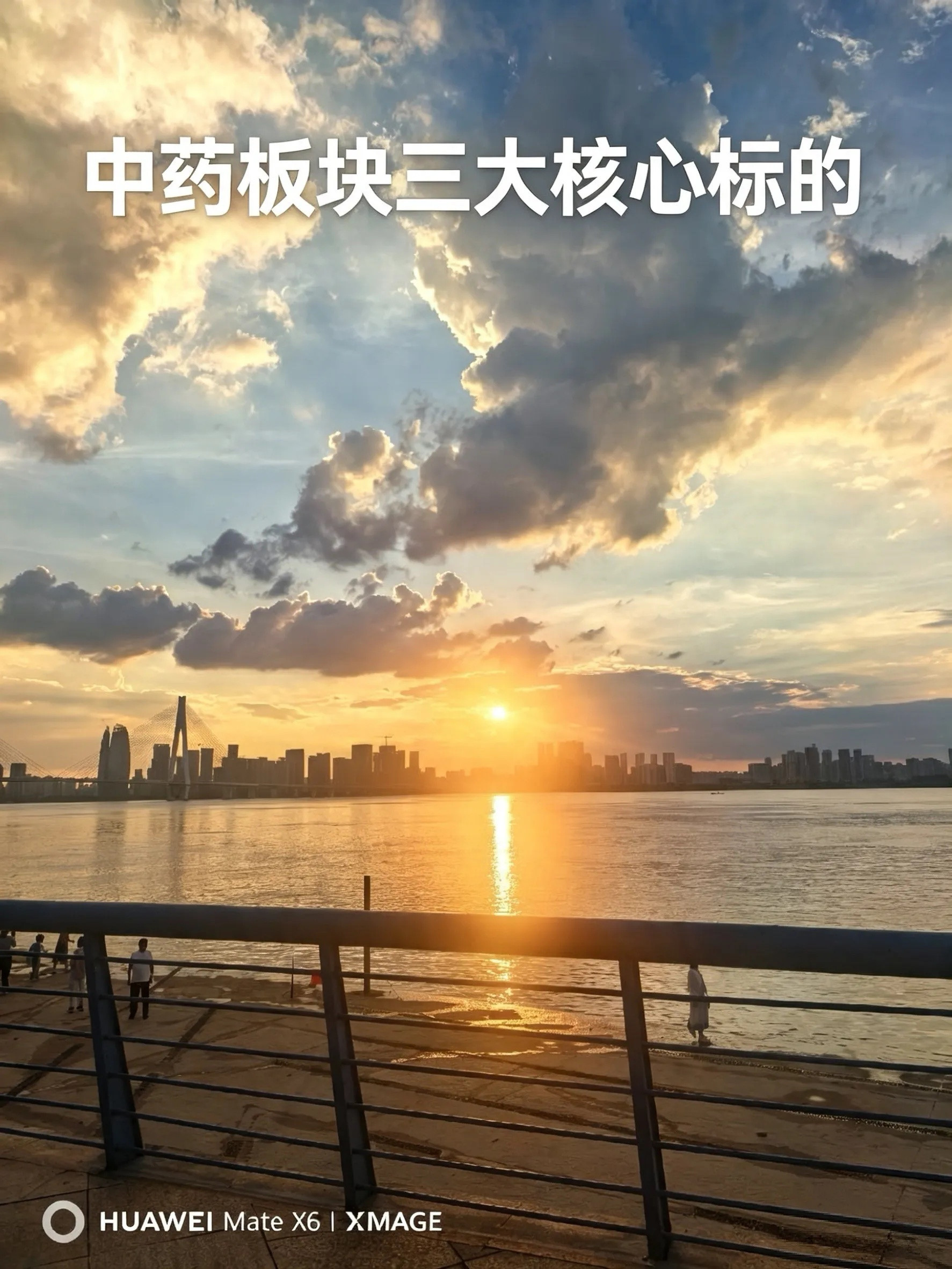 中药板块三大核心标的片仔癀核心优势：绝密配方独家龙头，独享天然麝香配额，全产