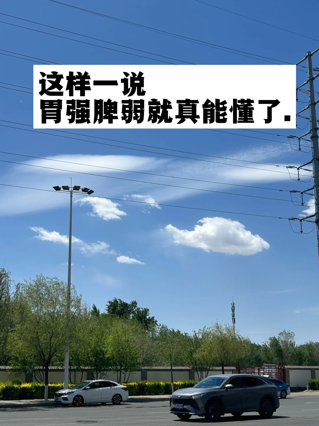 这样一说，胃强脾弱就真能懂了！