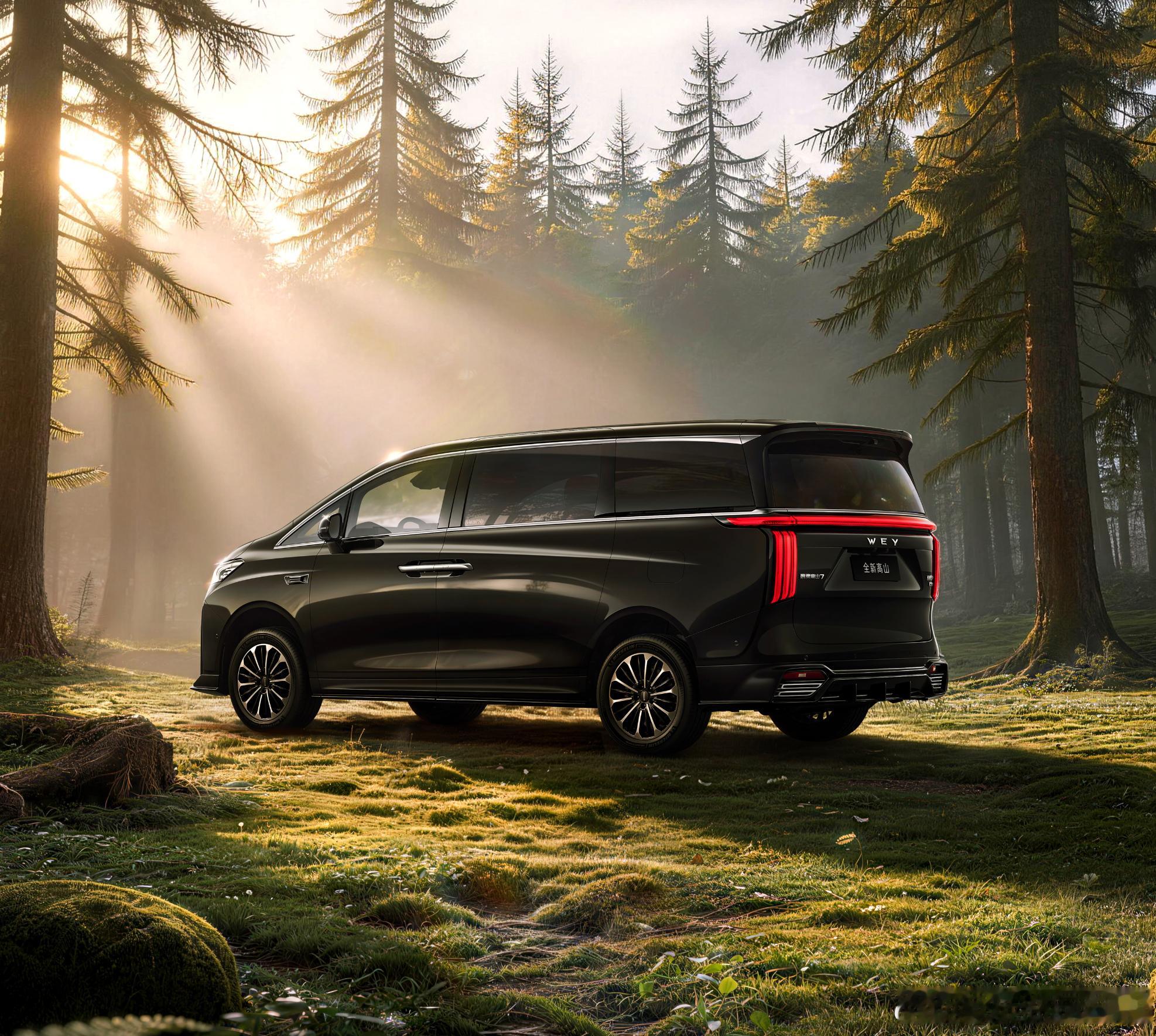昨天的工信部车展魏牌公布了不少新车型，其中高山7有了新的版本，V9X则拿出了两种
