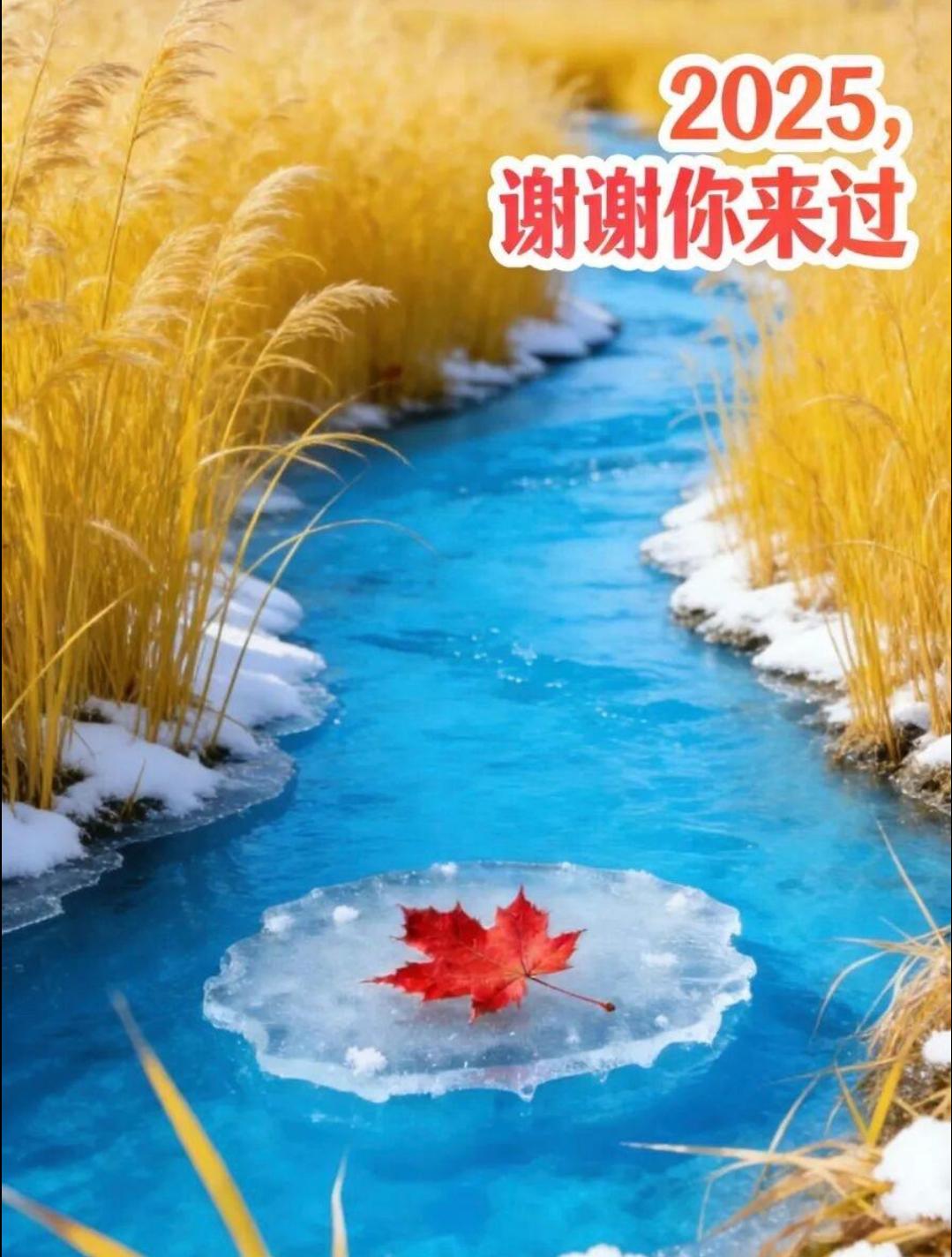 🌈早安！今天是2025年12月31日，星期三，旧年的尾声与新年的序曲在此交汇，