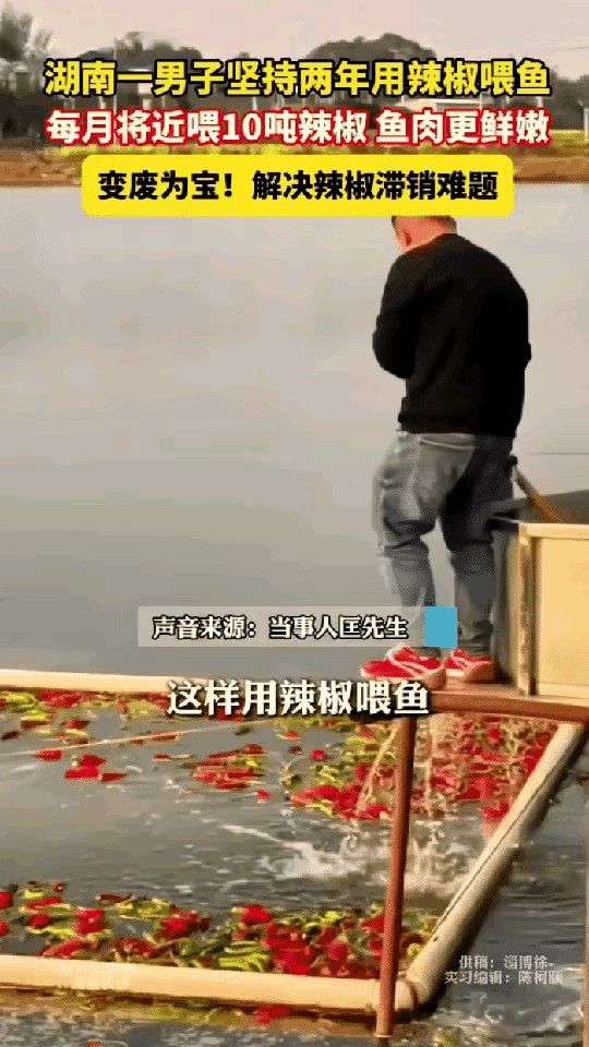 “太有头脑了！”湖南，一男子经营60亩渔场，养殖草鱼和鲤鱼，日子久了发现光饲料成