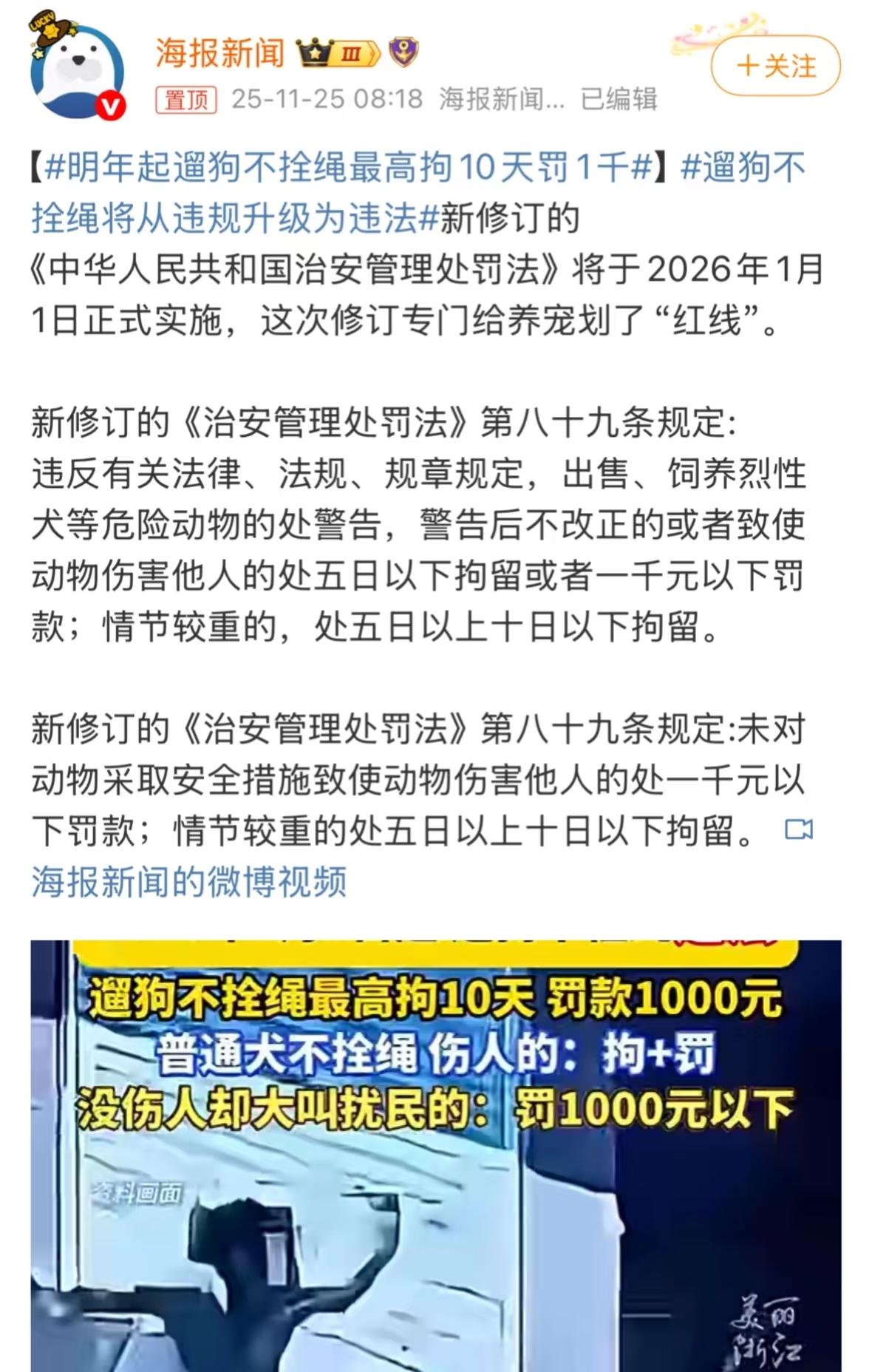 “明年起遛狗不牵绳最高拘留10天，罚1000”这条即将实行的规定引起网友热议。