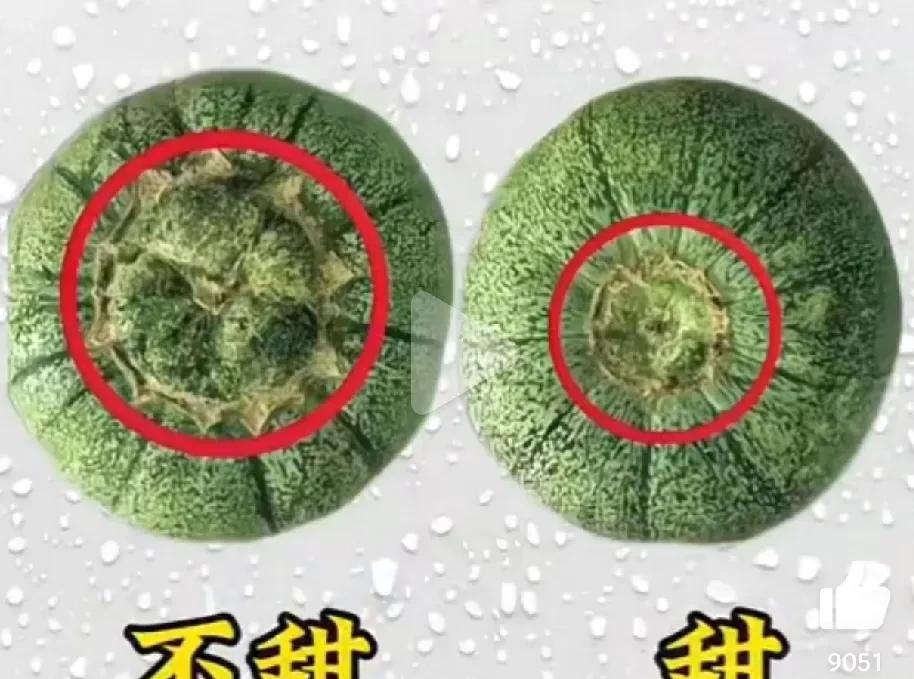 原来我们都买错了。看到这些图才知道，有时候光鲜亮丽的外表只是好看的皮囊，实则内