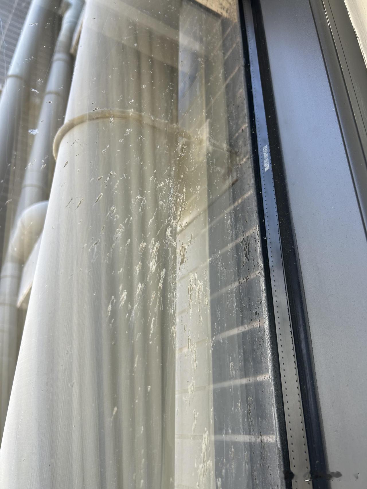 要疯了，年底搞卫生，发现阳台大玻璃被楼上装修喷到全是水泥，外面根本擦不掉，用了擦