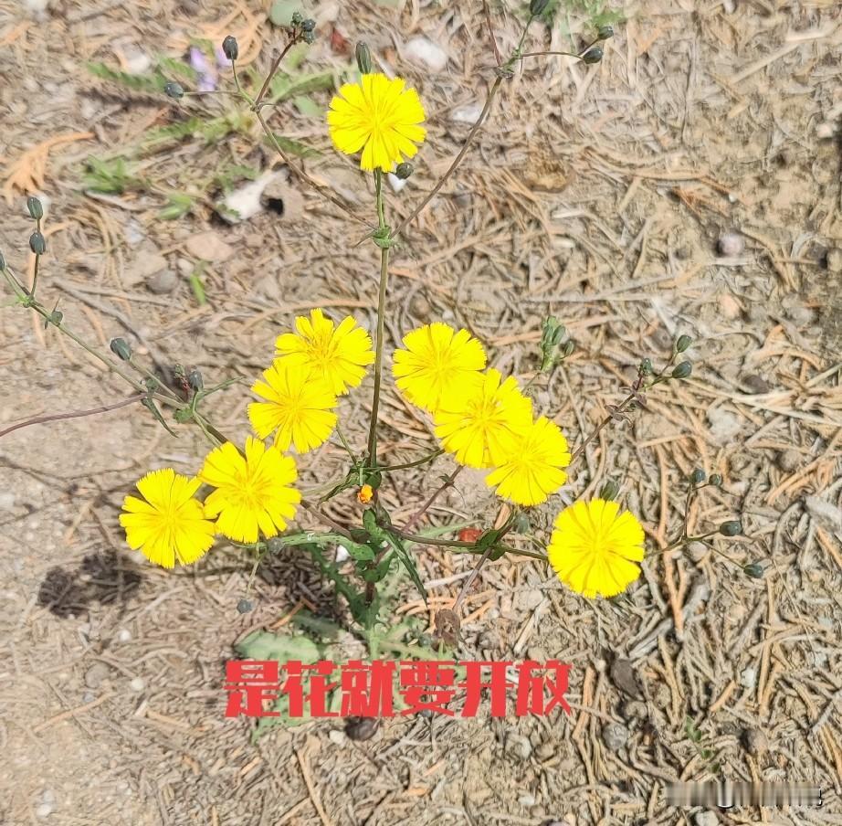 这个社会永远不会公平，因为公平掌握在权利和实力手中，公平了，权利和实力没有了意义