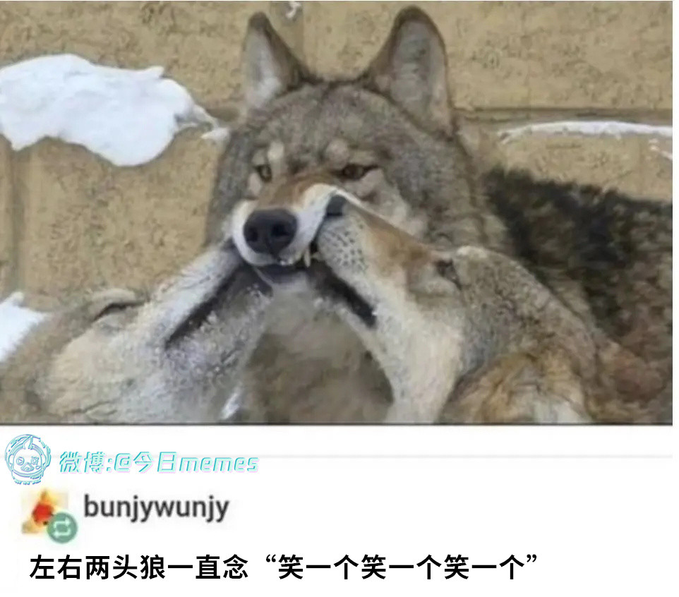 酸料酸料（9gag）今日meme今日memes