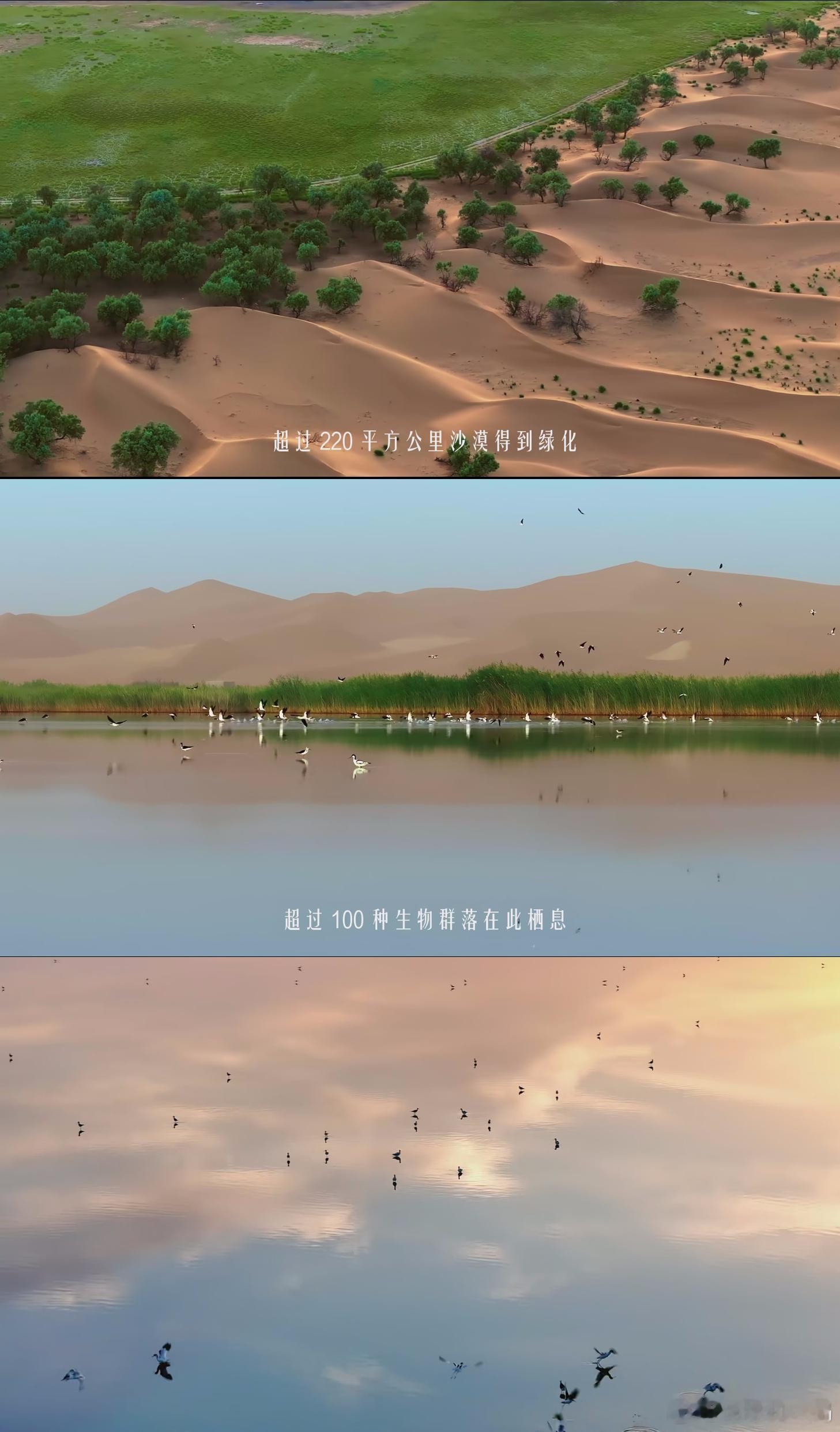 2019年，在国际知名学术期刊《自然——可持续发展》上，学者们通过对卫星照片的分