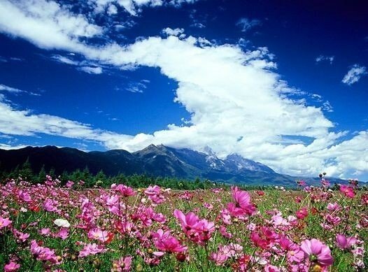 七月国内出游地推荐1、香格里拉——绿意盎然2、湖南小东江——云雾弥漫的美景3、河