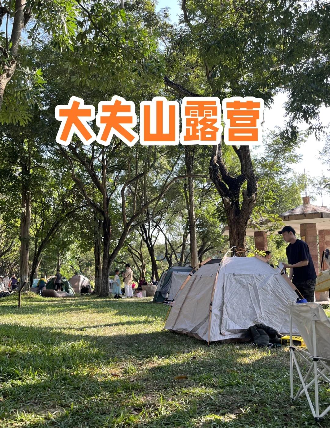 🏕️周末露营计划｜藏在广州的“挪威森林平时压力爆表的工作日过后总要找个地方