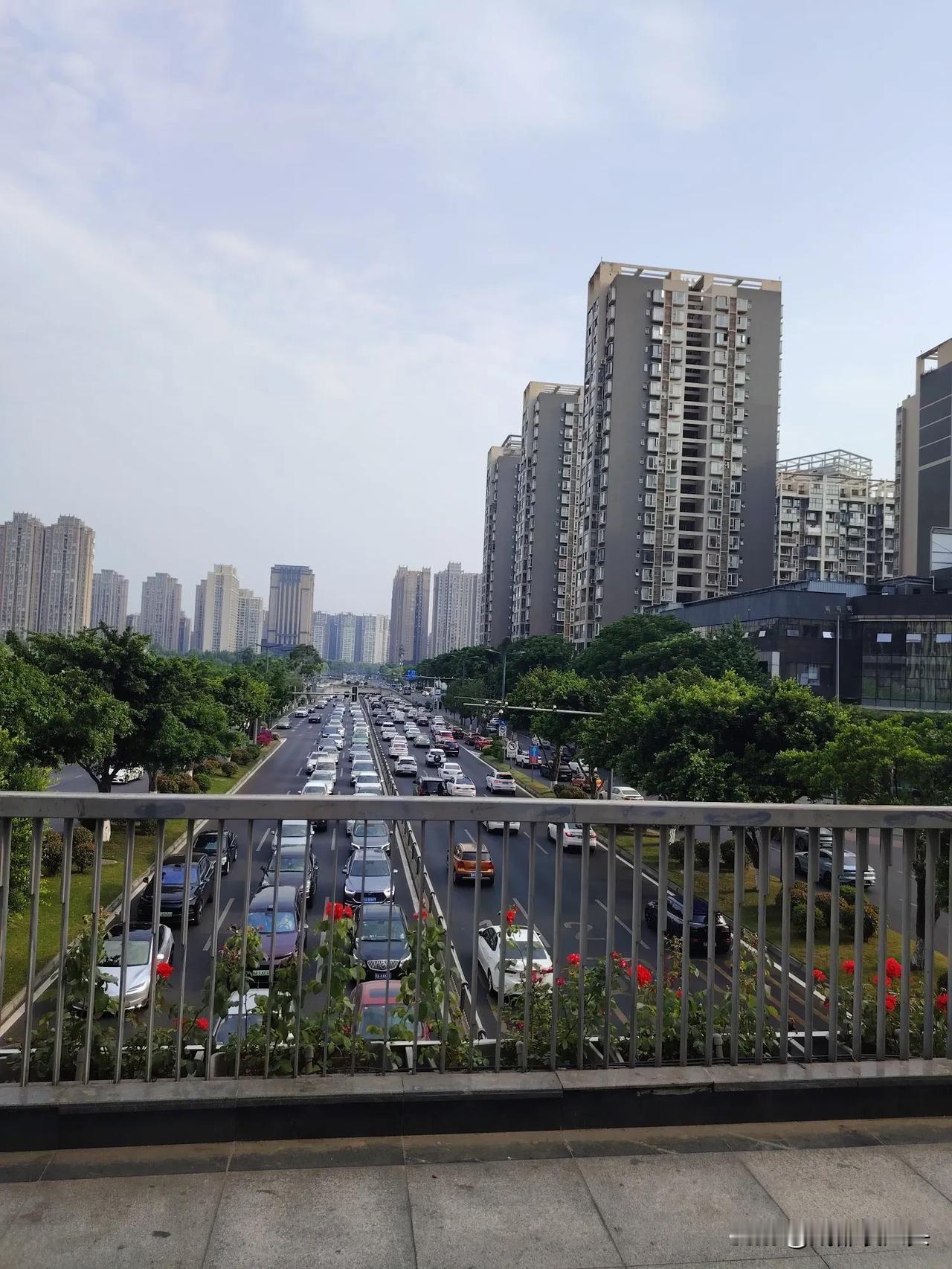 昨天，我算是深刻体会到了成都天府新区与主城区的巨大差异。家里车的顶棚脱胶有一