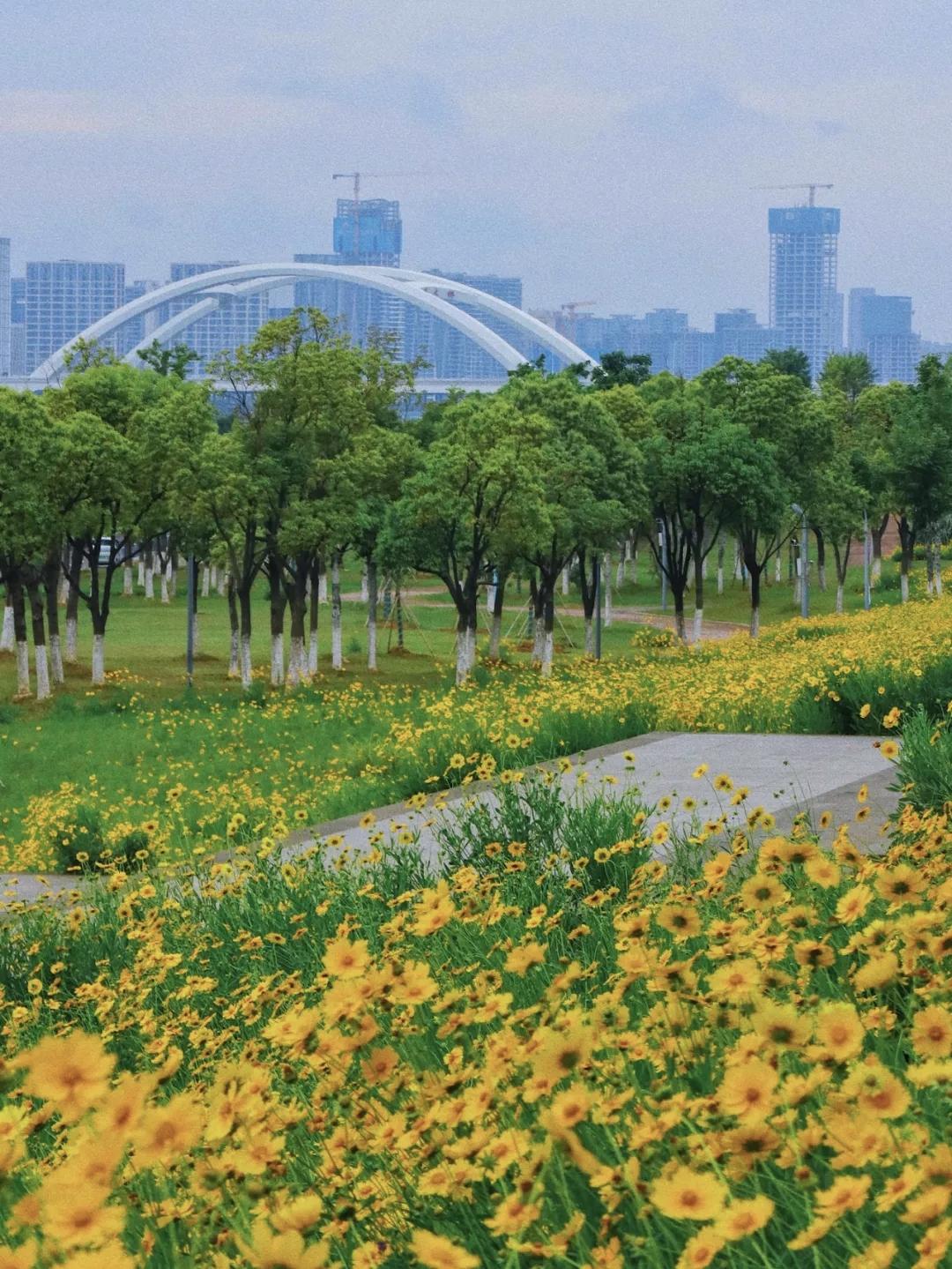 江西部分宜居城市1.南昌（省会便利、综合首选）-优势：省会、医疗教