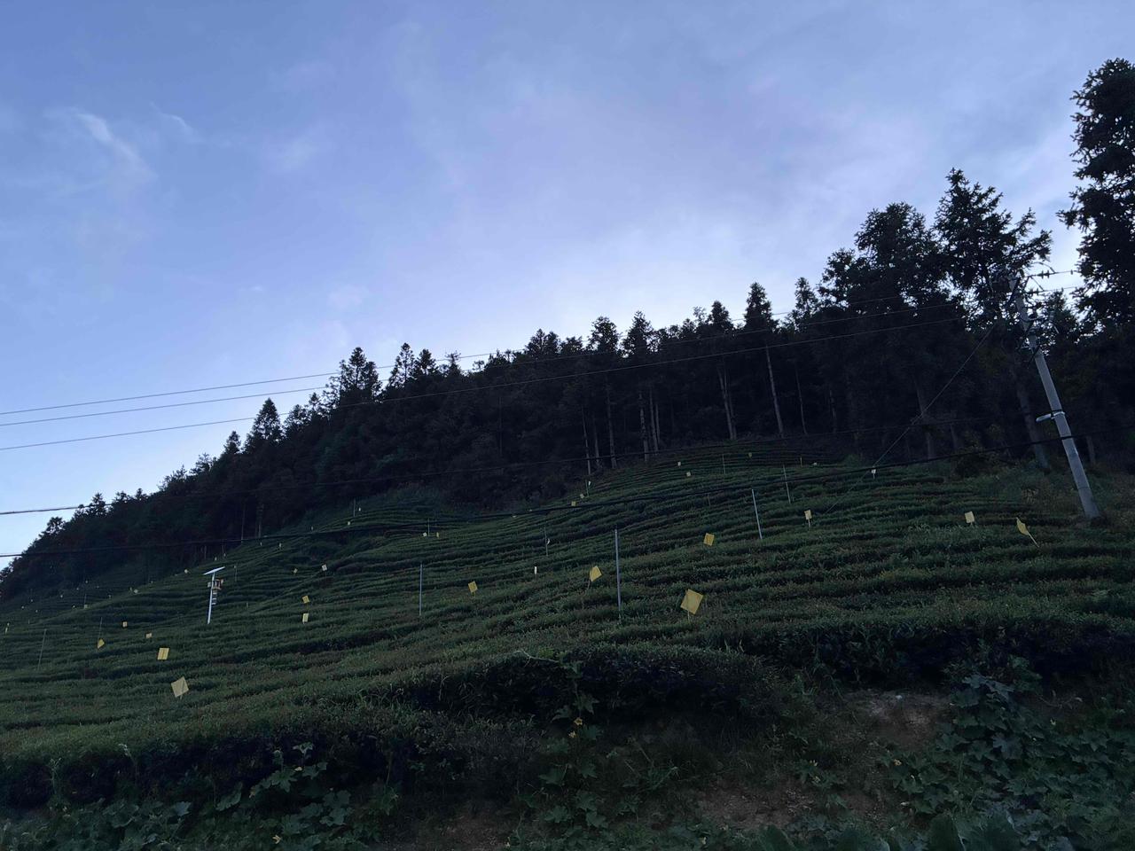 生肖马最看重的，我觉得首当其冲是自由。马象征着无拘无束地奔腾，属马的人也渴望生活