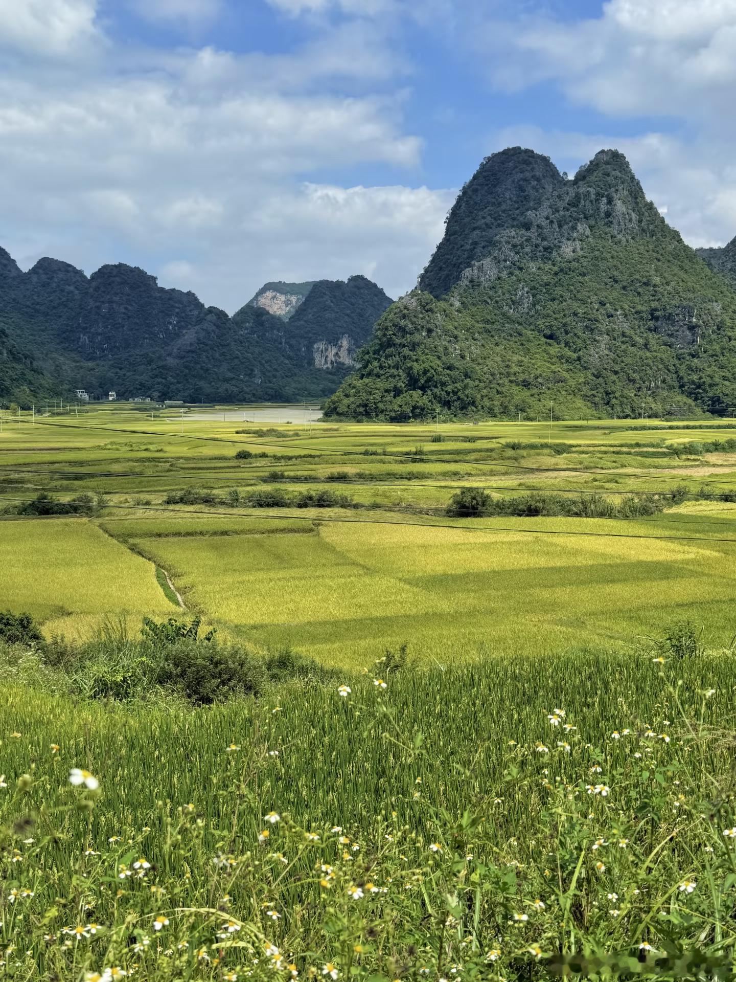 踏过山河，仍心怀热爱。新岁启程，继续奔赴远方。早安。早安早安心语早安​