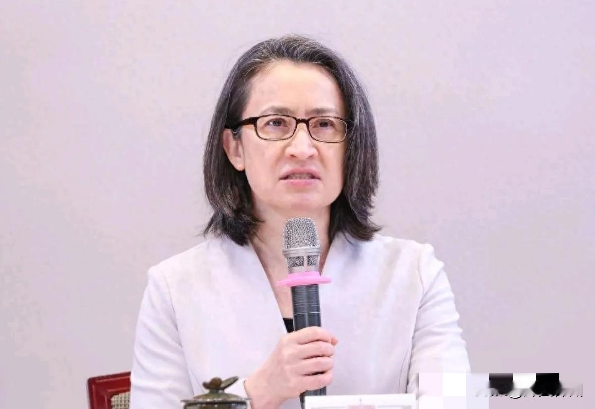 1月28日，萧美琴放话声称，鉴于国际地缘政治与资安需求，都必须达成“百分之百非红