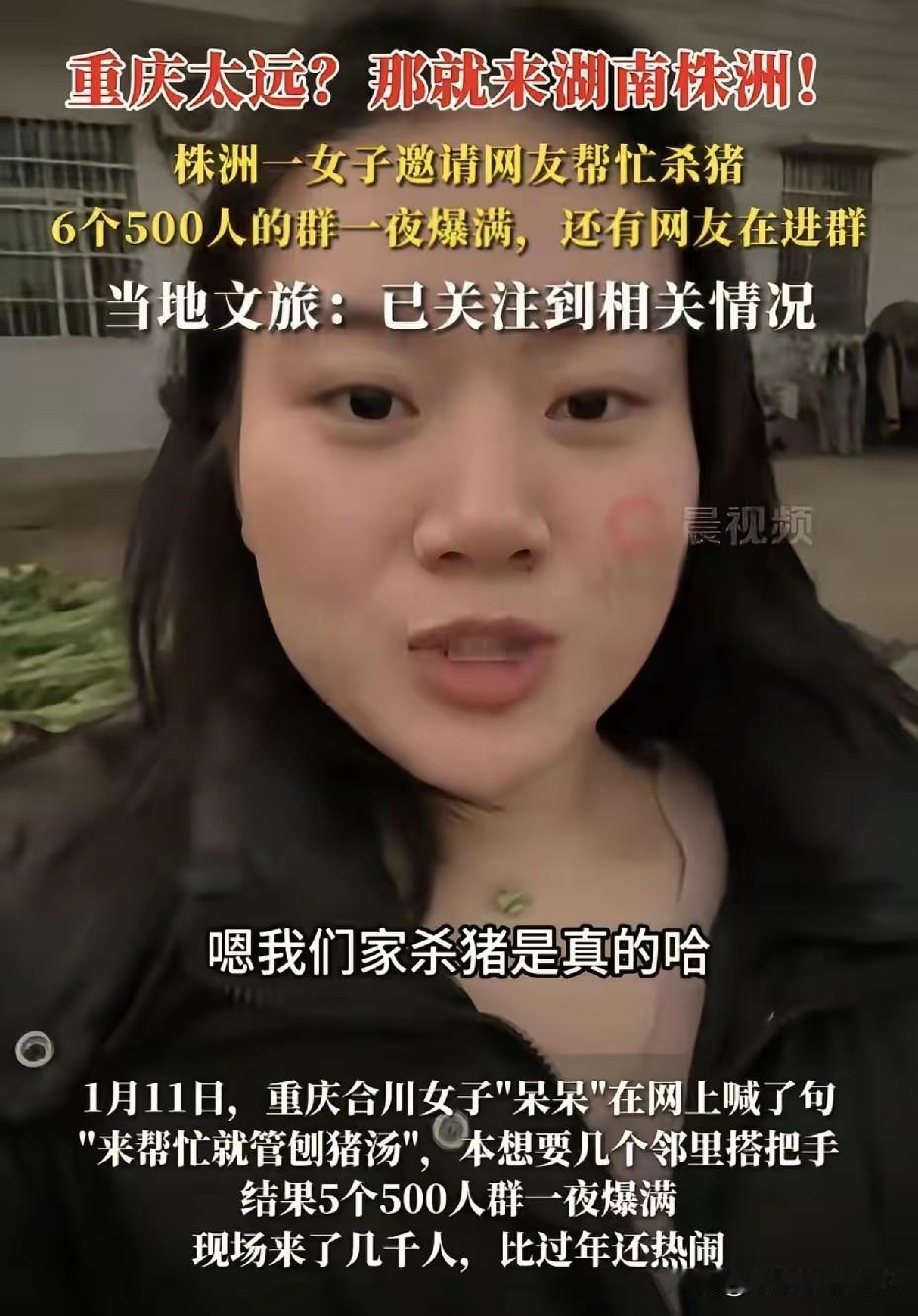 这就有点太尴尬了吧？株洲文旅这连夜“跑路”的速度，属实是给我看乐了。前脚还在