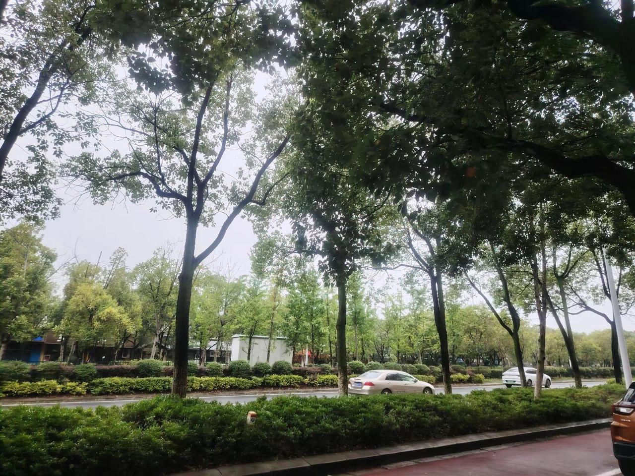 收集天上云，地上水，路边一树风光。向外欣赏风景，向内觉察自我，觉察即是改变的开端