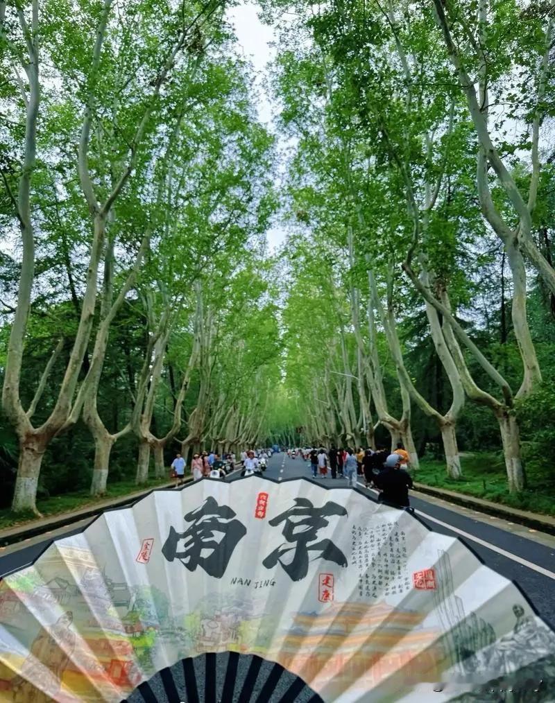 南京最近怎么了？到处受表扬。人民日报头版表扬南京“内外兼修”，城市更新见成效！