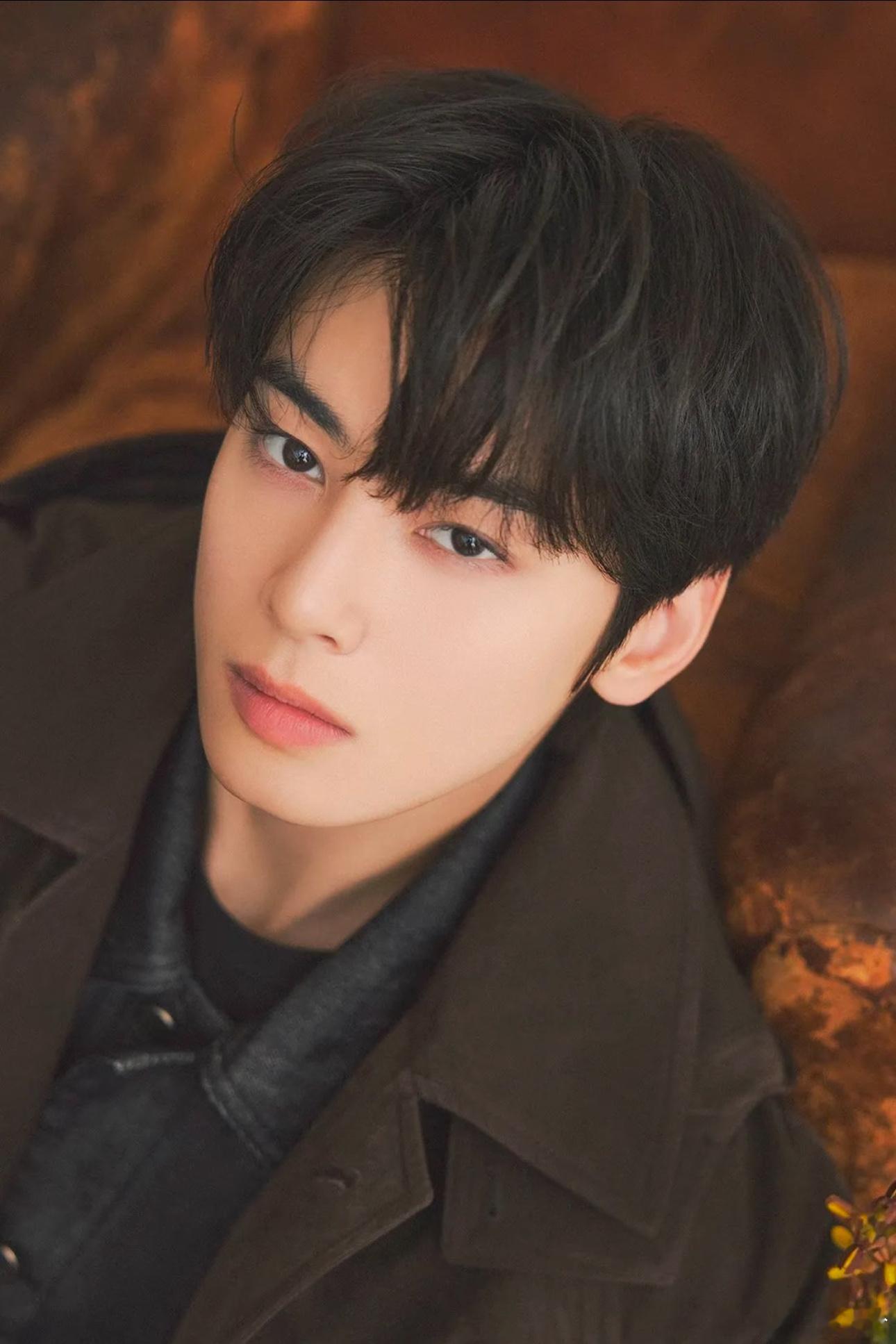 车银优个人赚了500亿以上韩娱开年大瓜炸了！刚退伍5天的车银优被追缴200亿韩