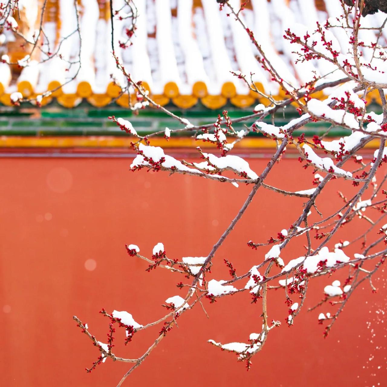 当属故宫无疑：琉璃瓦覆素衣，红墙映白雪。飞檐翘角裹银装，宫墙深院静无声，一砖一瓦