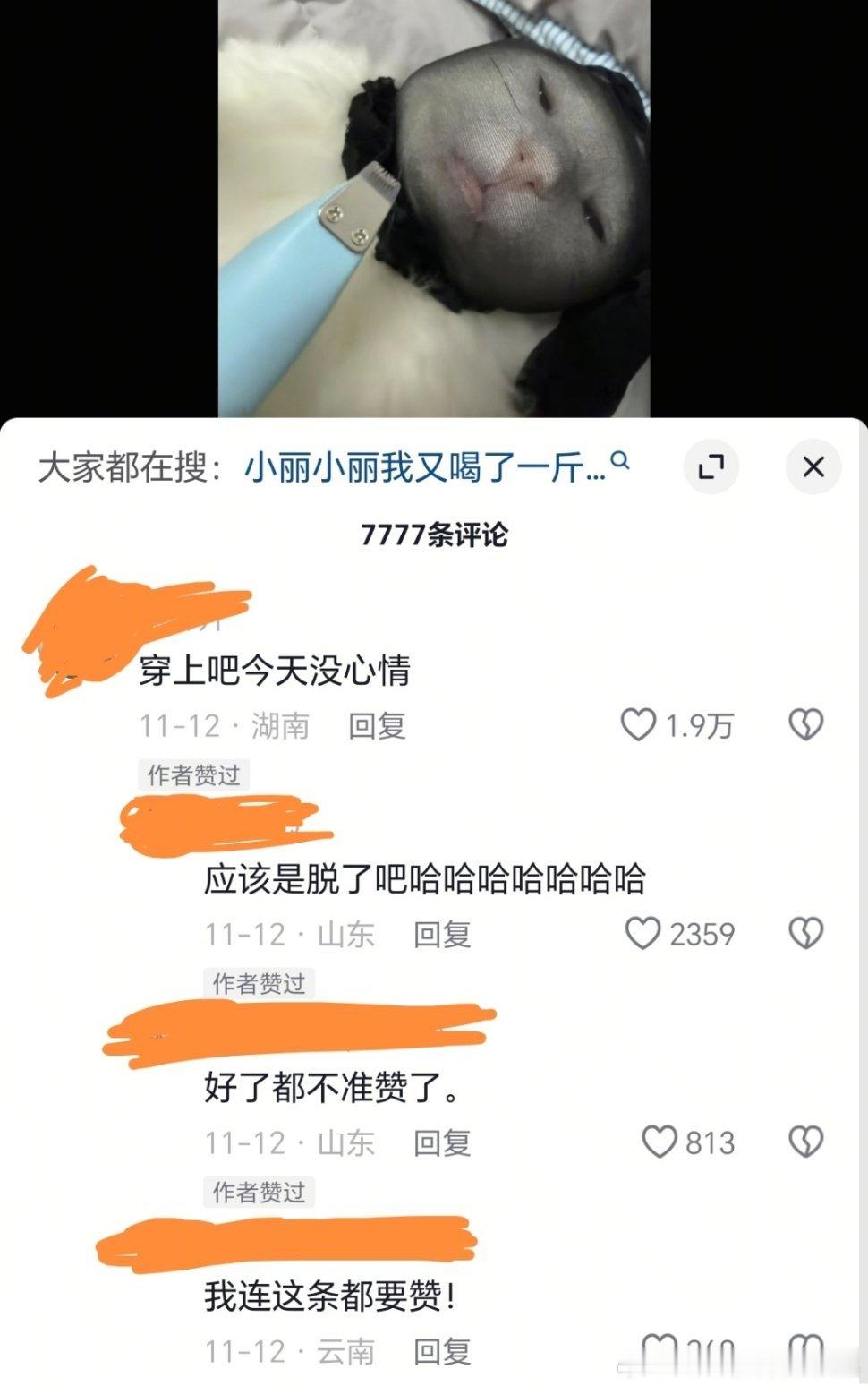给猫头套黑丝炫压抑