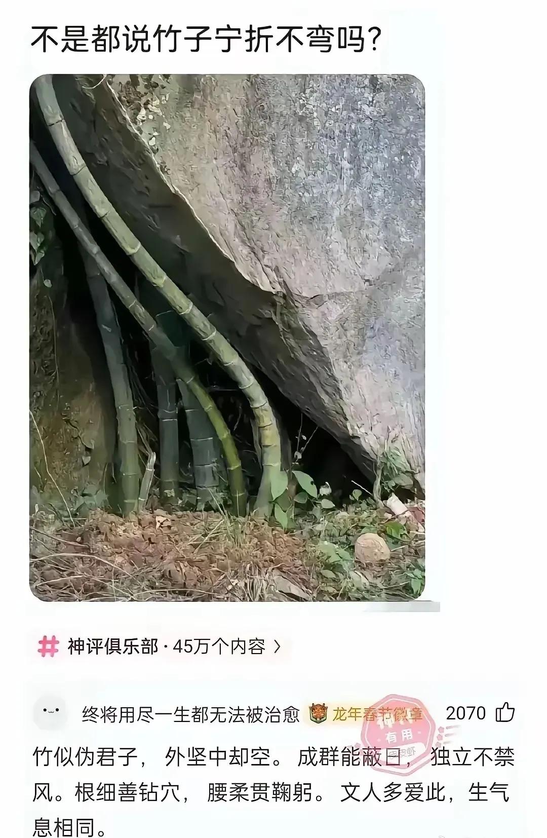 这个神评我真的是佩服得五体投地三观就这么猝不及防的被震碎却也找不到反驳的理由
