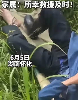 三亚蛇祸刚落，湖南又惊魂！八旬老人采药遭五步蛇猛咬，16支血清才救回一命！
