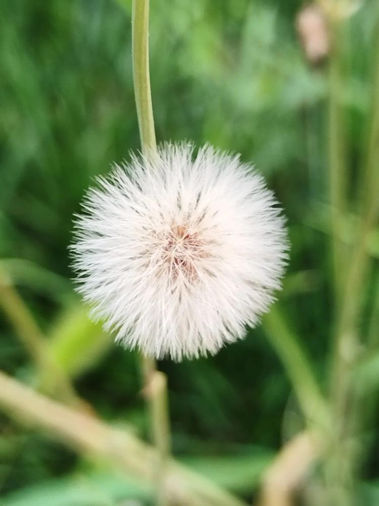 人老了怕什么？​三件事最戳心。​1.怕没钱​钱是老人的胆。​药费