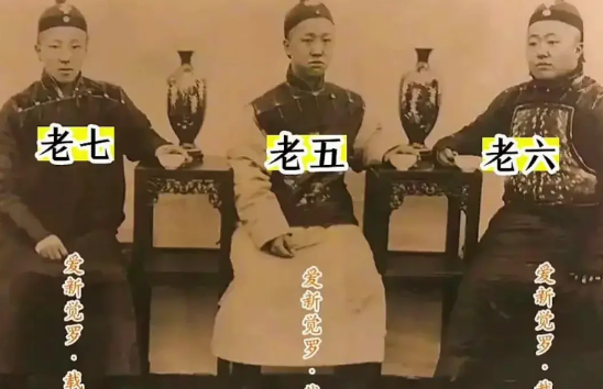 光绪皇帝的兄弟们，他们结局都如何？光绪兄弟七人，虽然他是嫡长子，但他并不是最大的