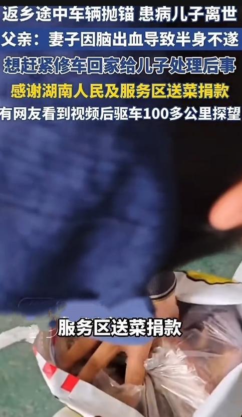 炸出泪了！2月20日报道的这事儿，暖到骨子里！山东朱磊一家自驾返乡，2月1