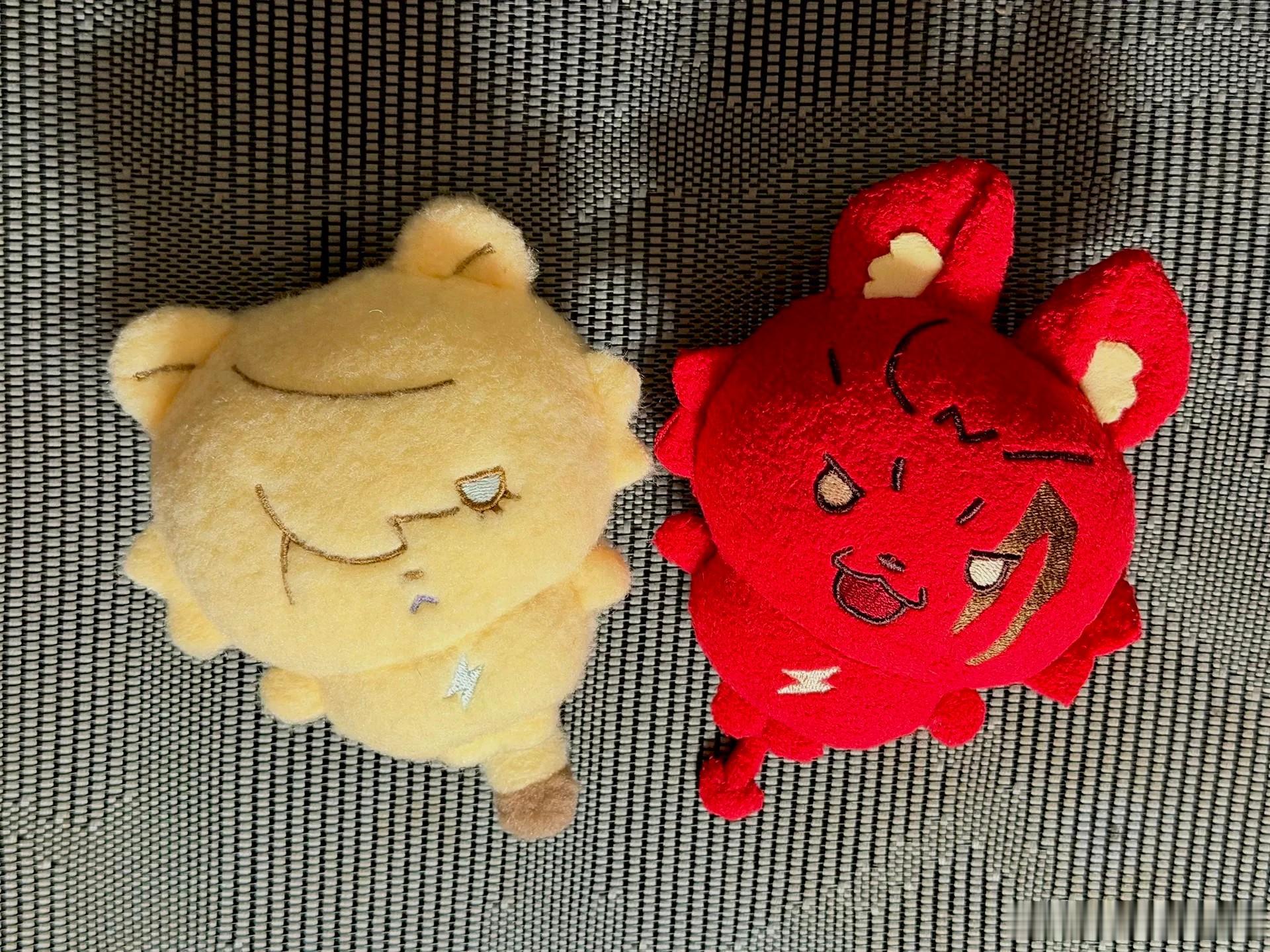 小猪出生啦————————