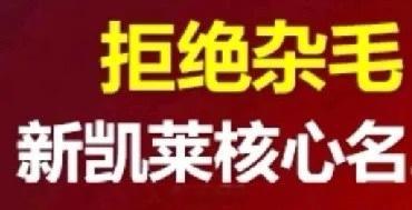 新凯来半导体领域备受关注的企业。以下是关于它的详细介绍梳理如下：-基本信息：